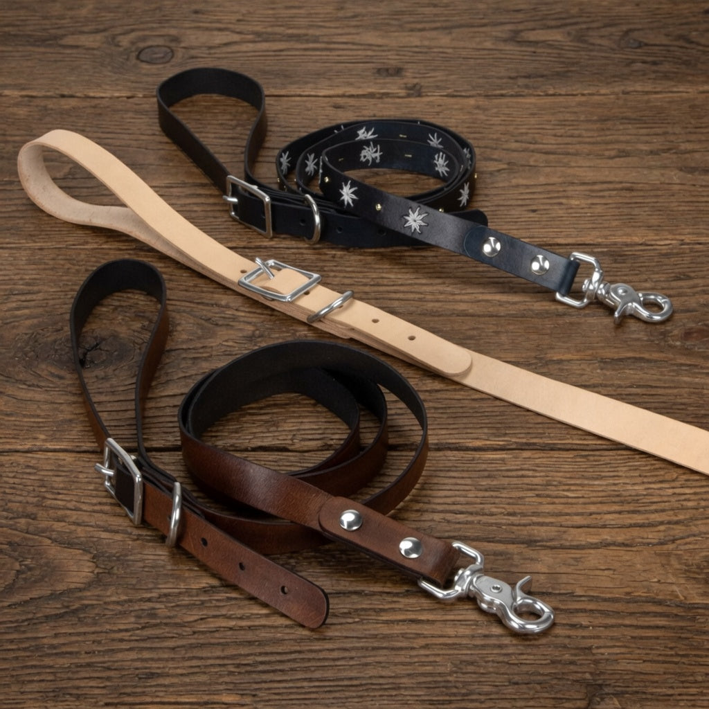Leder-Hundeleine zum Selbermachen – Klever Leder
