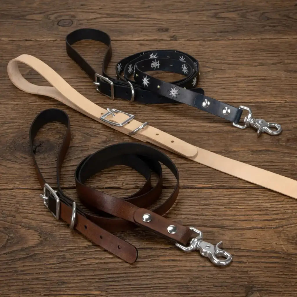Drei Hundeleinen aus Leder in Braun, Beige und Schwarz auf Holzboden, hochwertige Metallverschlüsse